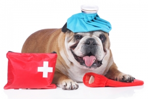 Azərbaycan, Gəncə   şəhəri akademik Həsən Əliyev prospekti 6 Acil Müdahaleler ve Acil Servis